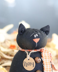 Ebony the Baby Cat