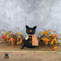 Ebony the Baby Cat