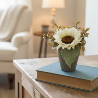 Potted Sunflower
