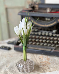 Teeny Tiny Tulips Bundle Creamy White 7"L