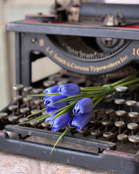 Teeny Tiny Tulips Bundle Blue 7"L