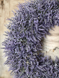 Provence Plains Lavender Collection