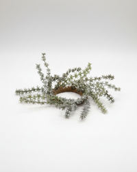 Russian Thistle Taper Candle Ring 6"
