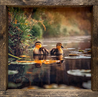 Quiet Water Pair Canvas Print Exclusive
