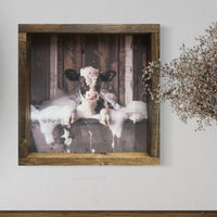 Holstein Calf in Bubble Bath Canvas Print