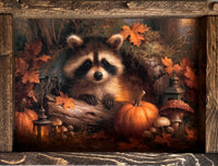 Little Pumpkin Bandit Canvas Print Exclusive