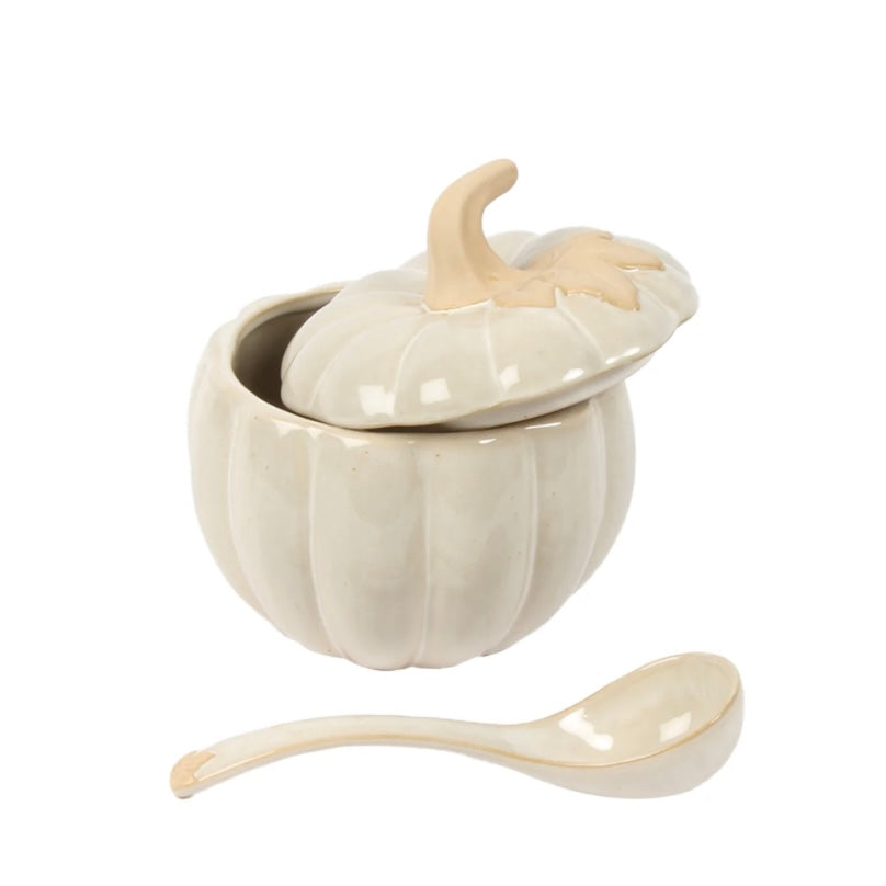 Harvest Pumpkin Covered Bowl with Spoon
