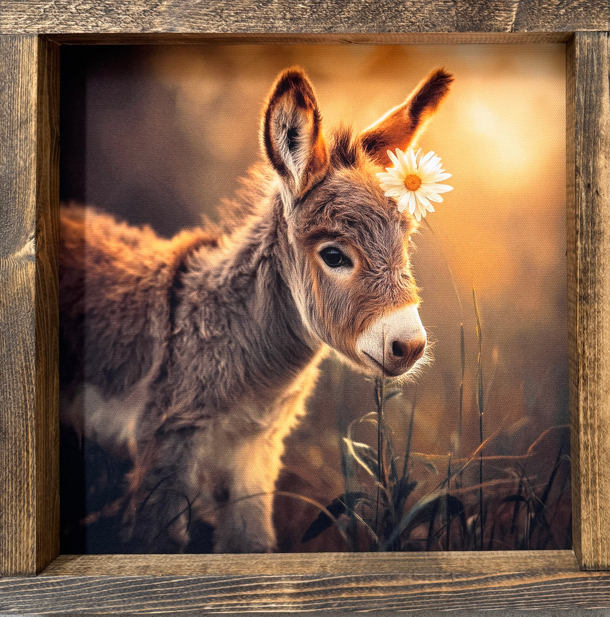 A Daisy For You Canvas Print exclusive