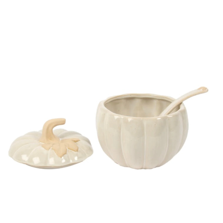 Harvest Pumpkin Covered Bowl with Spoon