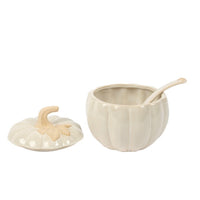 Harvest Pumpkin Covered Bowl with Spoon