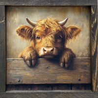 Sweet Highland Peek Canvas Print