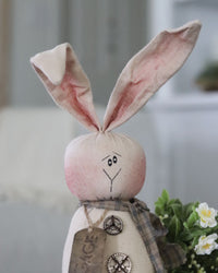 Gage the Salvage Rabbit