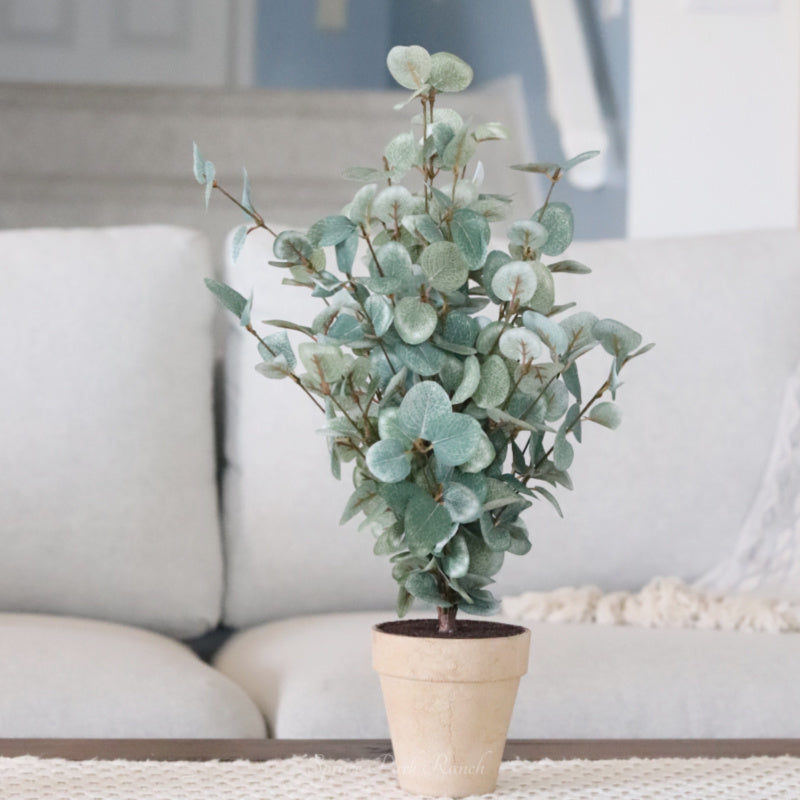 Garden Eucalyptus Potted Bush 19"