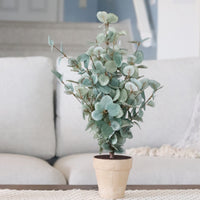 Garden Eucalyptus Potted Bush 19"