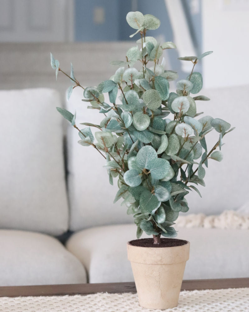 Garden Eucalyptus Potted Bush 19"