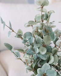 Garden Eucalyptus Potted Bush 19"