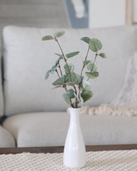 Garden Eucalyptus Greenery Collection