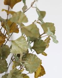 Green and Yellow Gingko Leaf Greenery Collection