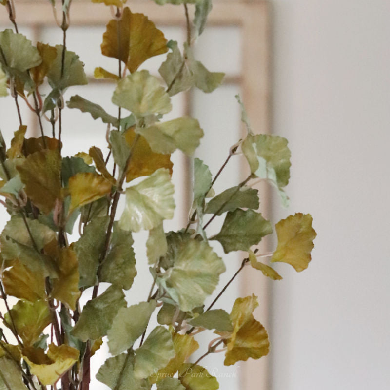 Green and Yellow Gingko Leaf Greenery Collection