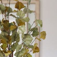Green and Yellow Gingko Leaf Greenery Collection
