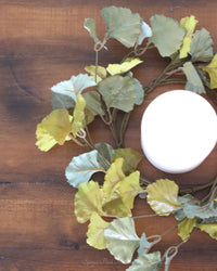 Green and Yellow Gingko Leaf Greenery Collection