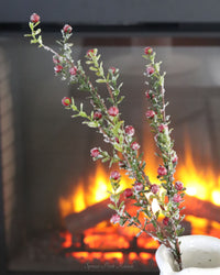 Glittered Snowy Red Berry Leaf Stem 30"