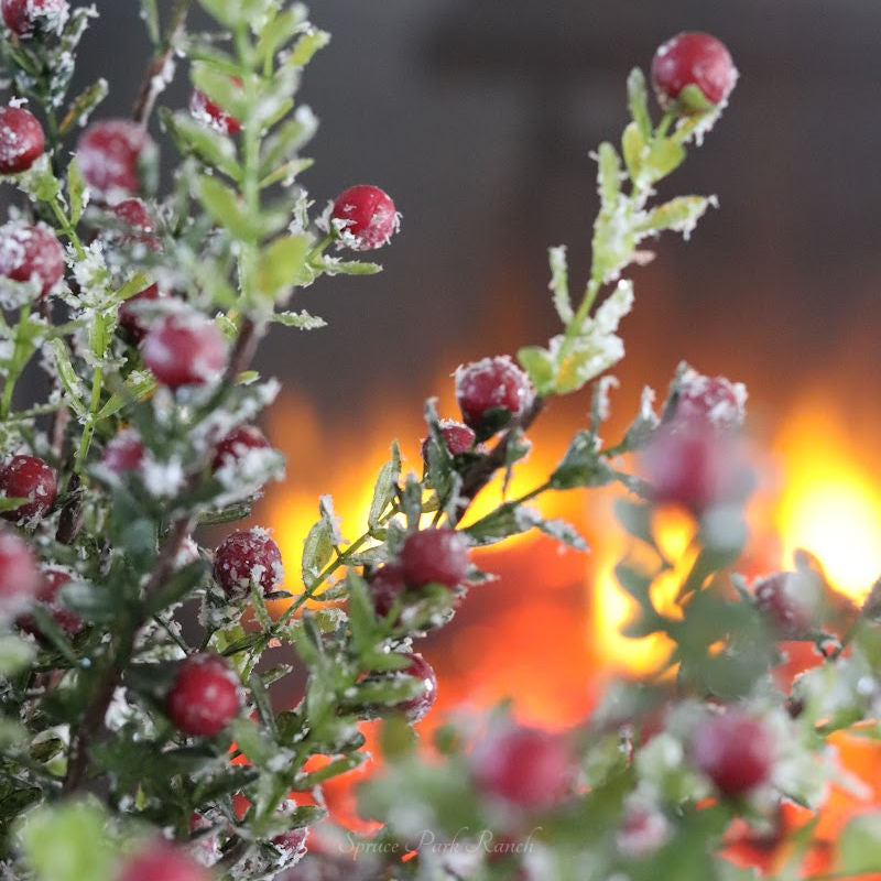 Glittered Snowy Red Berry Leaf Stem 30"