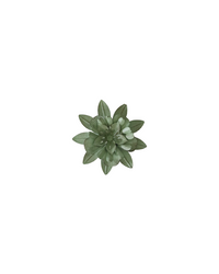 Green Flower Metal Magnet