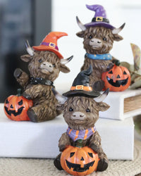 Halloween Highland Cow With Jack-O-Lantern