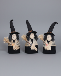 Handmade Witch With Veil and Broom