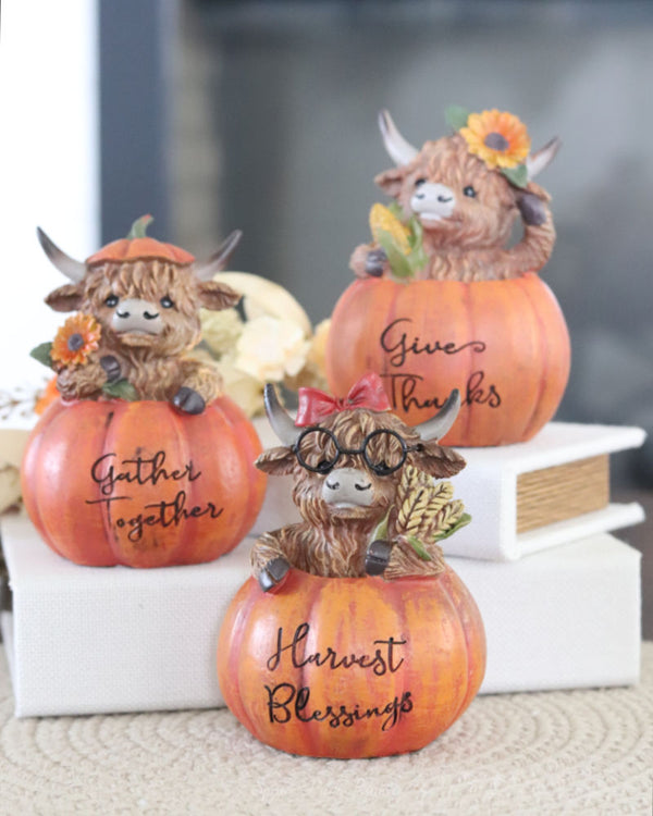 Harvest Highland Cow in Pumpkin