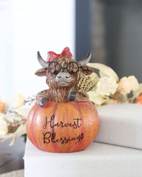 Harvest Highland Cow in Pumpkin