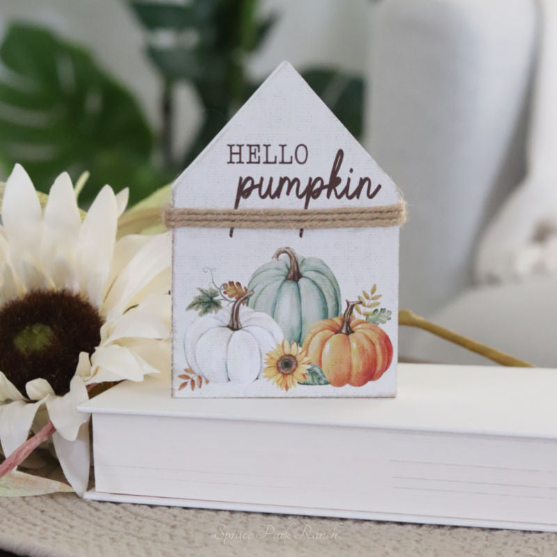 Hello Pumpkin Chunky House Sitter