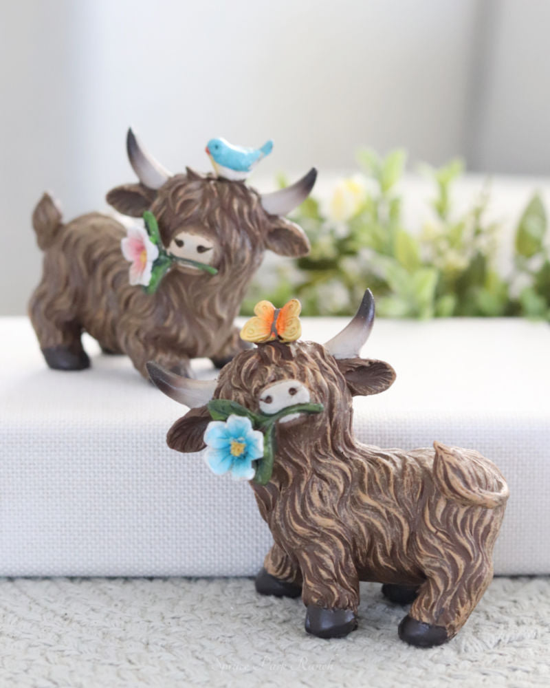Highland Cow With Flower
