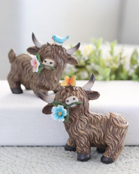 Highland Cow With Flower
