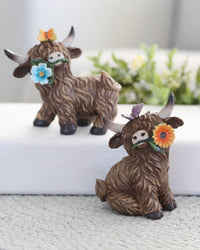 Highland Cow With Flower