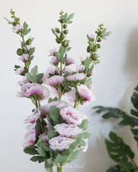 Hollyhock Stem Purple 43"