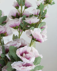 Hollyhock Stem Purple 43"