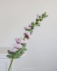 Hollyhock Stem Purple 43"