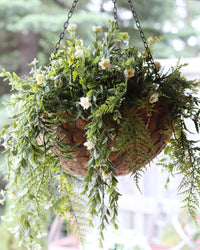 Honeycomb Hanging Planter