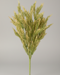 Green Wheat Bush 21"