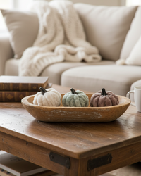 Plush Velvet Neutral Pumpkin