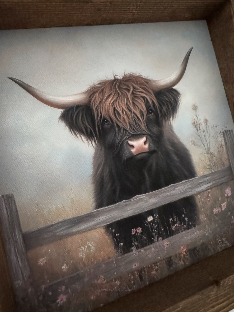 Brown Highland Cow in Field of Flowers Canvas Print