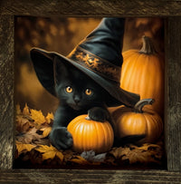 The Pumpkin Patch Apprentice Canvas Print