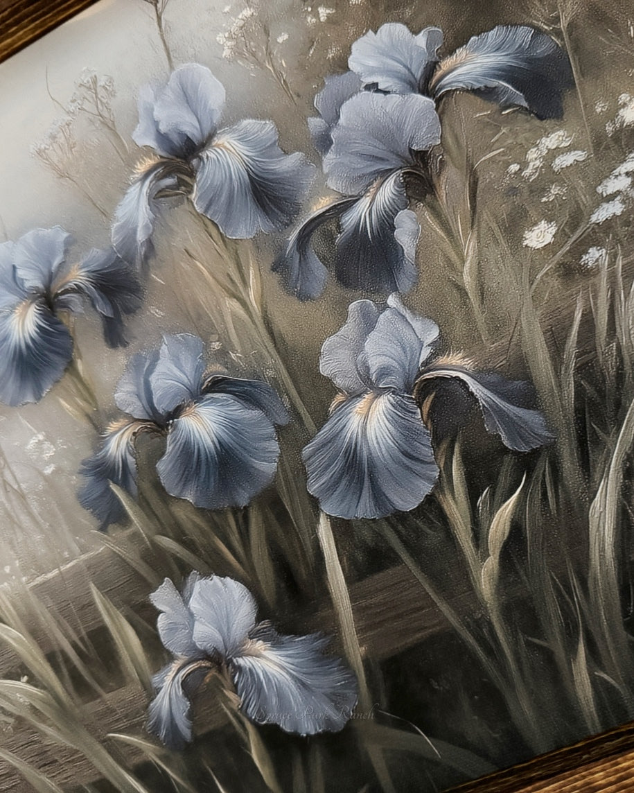 Grey Barn With Blue Iris Flowers Canvas Print 15” x 36”