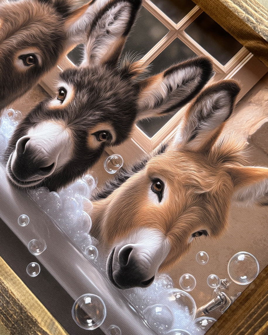 Donkey Trio in Bubble Bath Canvas Print