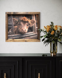 Brown Calf in Truck Canvas Print