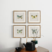 Butterfly Shadow Box