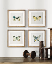 Butterfly Shadow Box