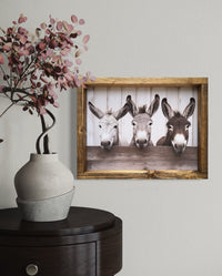 Three Donkeys at Fence Canvas Print